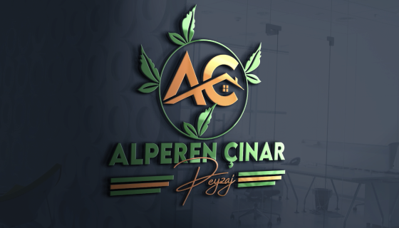 ALPEREN ÇINAR LOGO ÇALIŞMASI